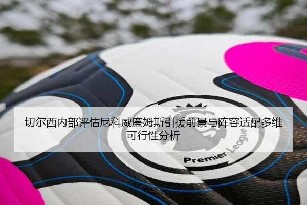 切尔西内部评估尼科威廉姆斯引援前景与阵容适配多维可行性分析