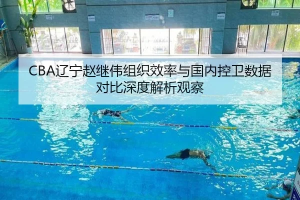 CBA辽宁赵继伟组织效率与国内控卫数据对比深度解析观察